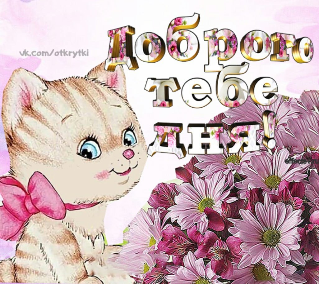   ,    . - 28  2021  12:34 - 3