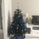 ���� ����, ������, 69 ��� - ��������� 27 ������� 2021 � ������ ���� ����������