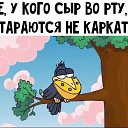  , , 49  -  6  2021   100 