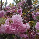 ���� �����, ���� - ��������� 4 ��� 2021 � ������ ���� ���