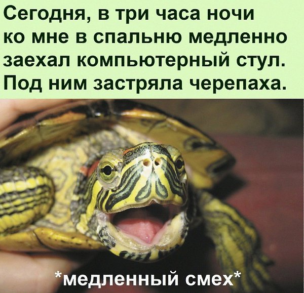   :D - 3  2022  22:34
