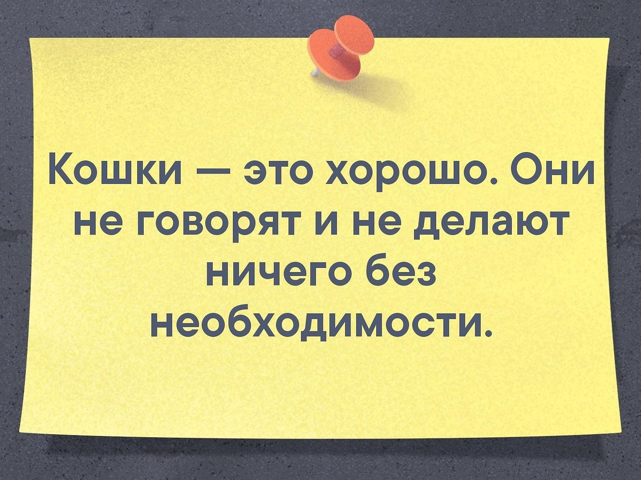    - 18  2021  22:31