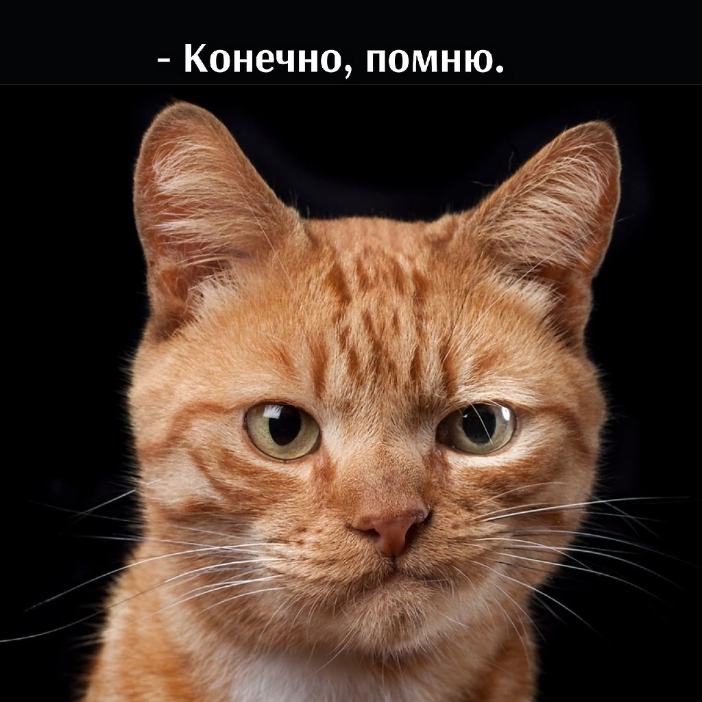       - 1  2021  10:09 - 2