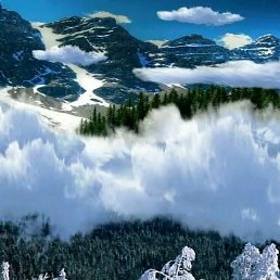 �, ������������