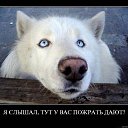 ���� �����, ����, 54 ���� - ��������� 9 ������ 2022 � ������ ���� ����������
