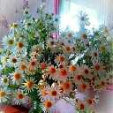  Galina...,  -  28  2022    