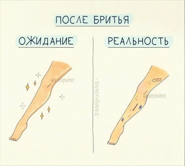 6     - 6