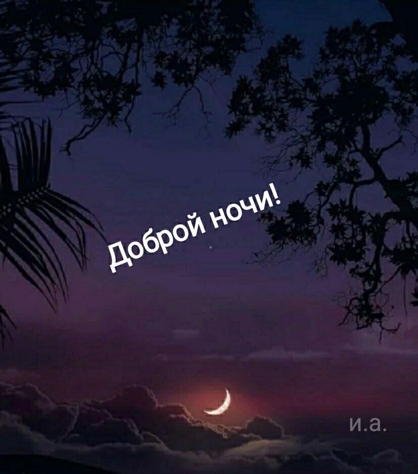   ,    . - 24  2021  21:56 - 2