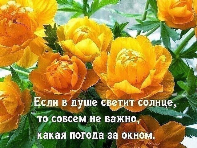   ,    . - 25  2021  21:55