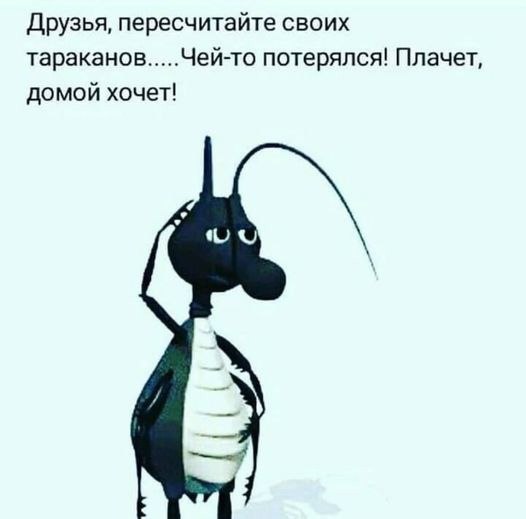   - 12  2021  09:31