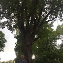 ���� Pavel, �����, 57 ��� - ��������� 9 ������ 2021 � ������ ���� ����������