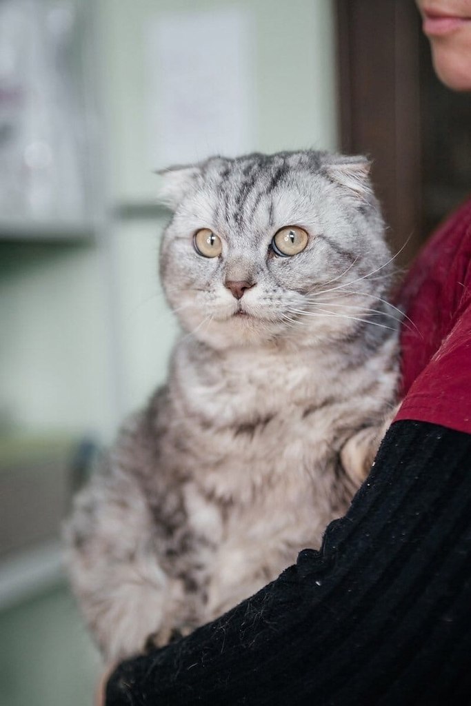 � ������ �� ��������� �����... ��� ��������� ������� �������� ���������� �����, ������� �� ��� ...