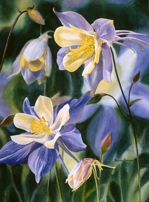   Sharon Freeman - 7