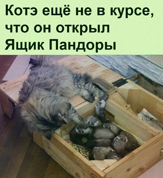      )