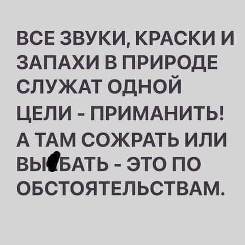 ***Victoria Viktorovna*** - 17  2021  13:44