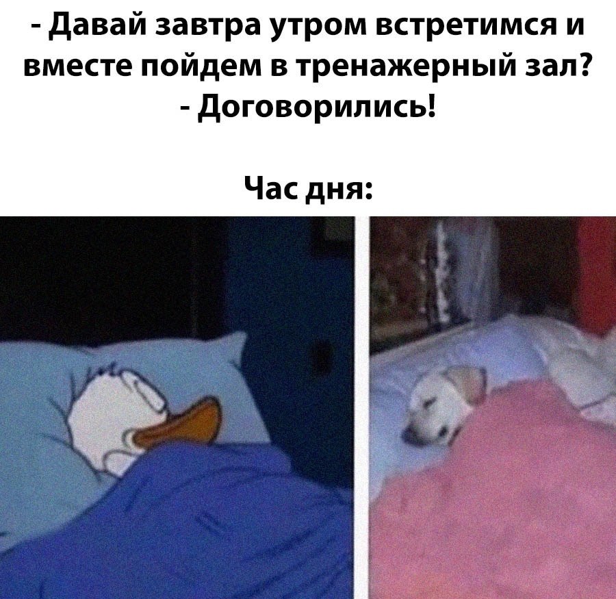 Workout |    - 29  2021  08:34