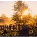 �������� ������ ������ �� ������� ���� ����������