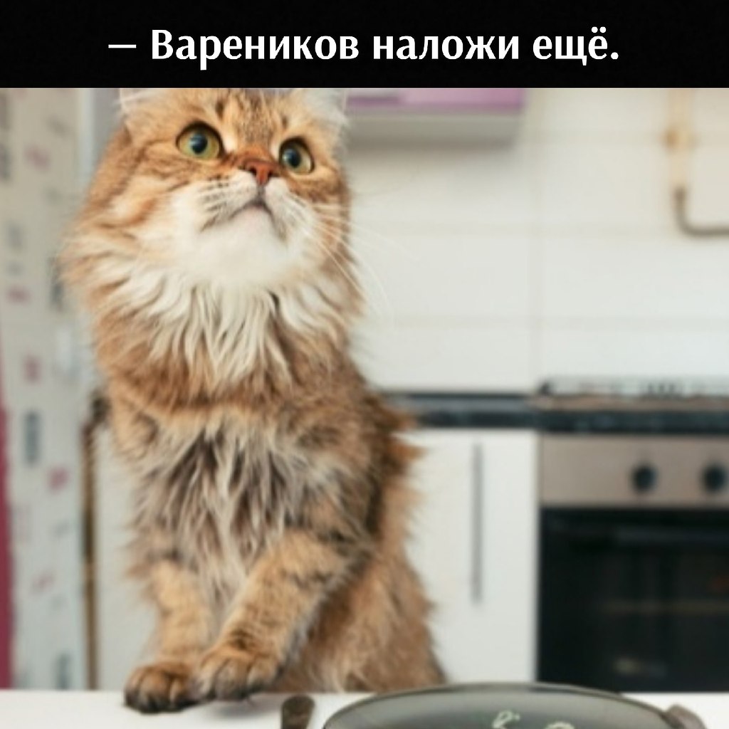       - 16  2021  15:32 - 2