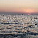 ���� �����, ������ - ��������� 18 ������� 2021 � ������ ���� ����������