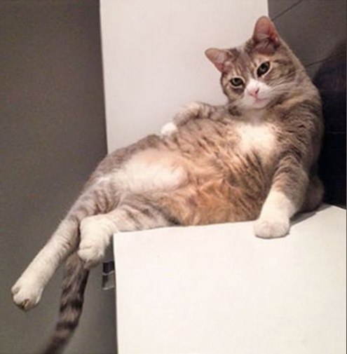 Sexy and I Know It - 4