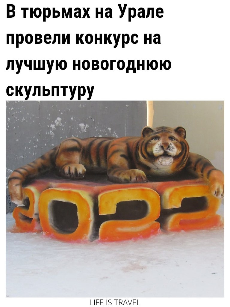 LIFE -  - 2  2022  02:38