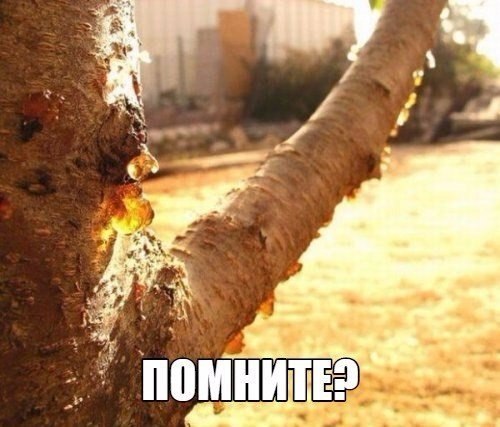 ? )