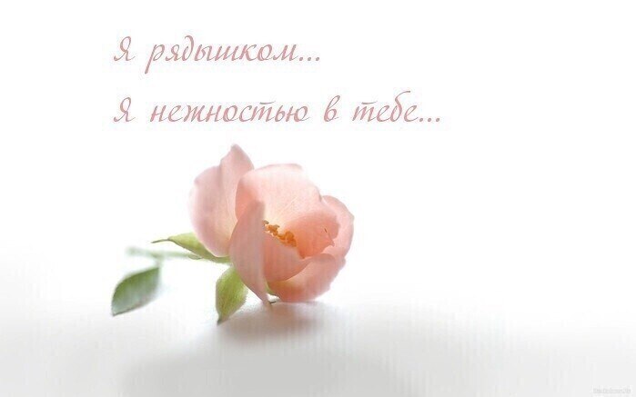      ?     ? Ҹ   , ,   . ...