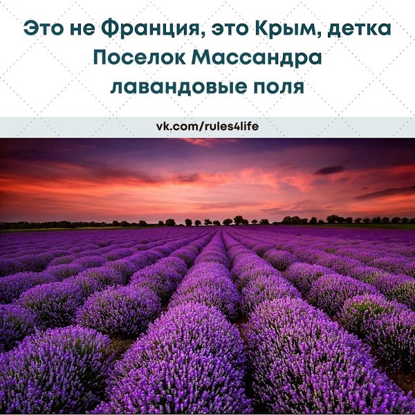 LIFE -  - 28  2021  19:39