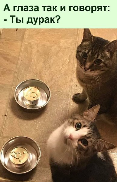   :D - 22  2021  20:28