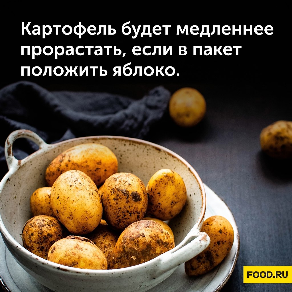 #_@foodrumedia