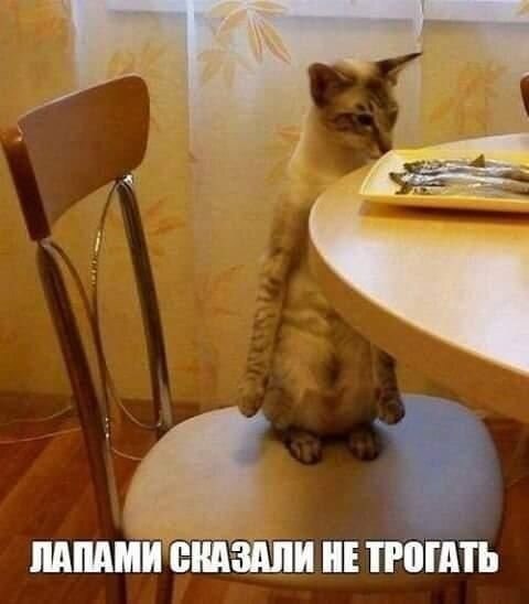 )