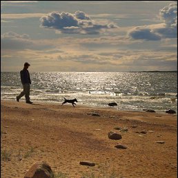 �����, ������� ����, 46 ���