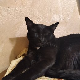 Igor, ������ ��������, 59 ���