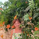 ���� �������, ���������, 62 ���� - ��������� 24 ������� 2021 � ������ ������������ � ��������