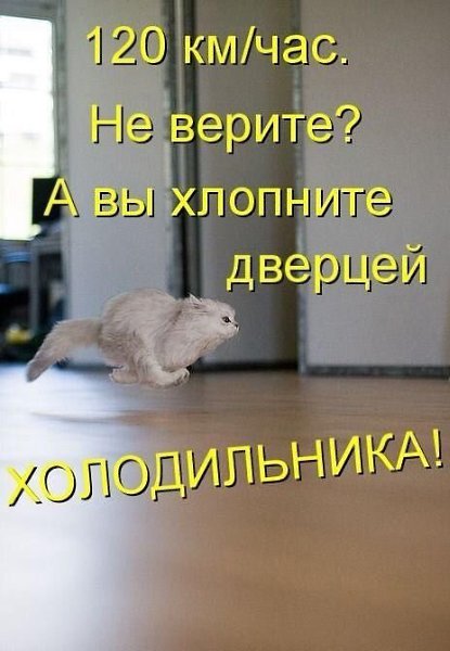    - 6  2021  14:36