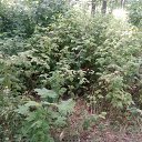 ���� Haver Santa, ���������� ����� - ��������� 28 ���� 2021 � ������ �:)�