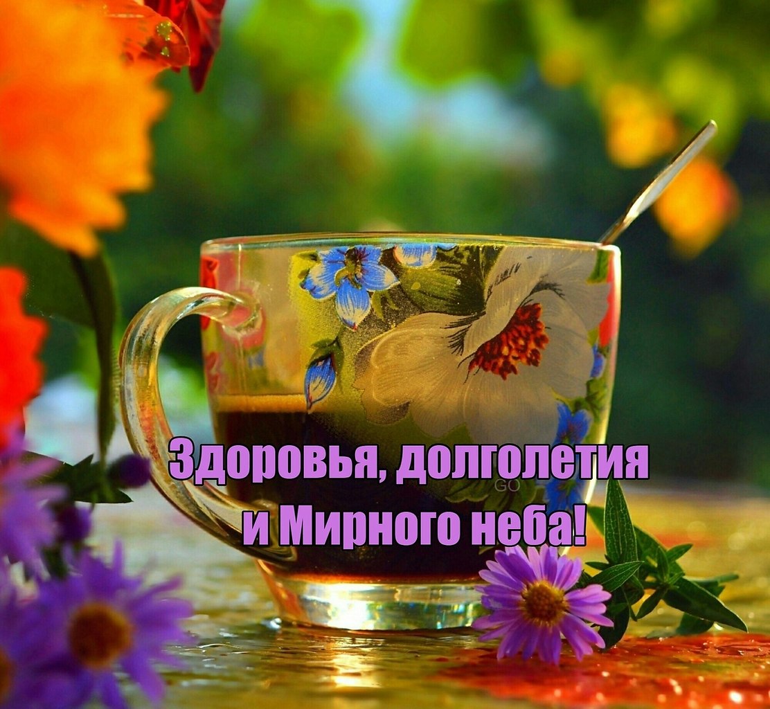   ,    . - 22  2021  11:58