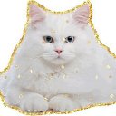 ���� ������, �����, 52 ���� - ��������� 1 ������ 2021 � ������ ���� ����������