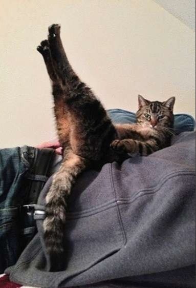 Sexy and I Know It - 3