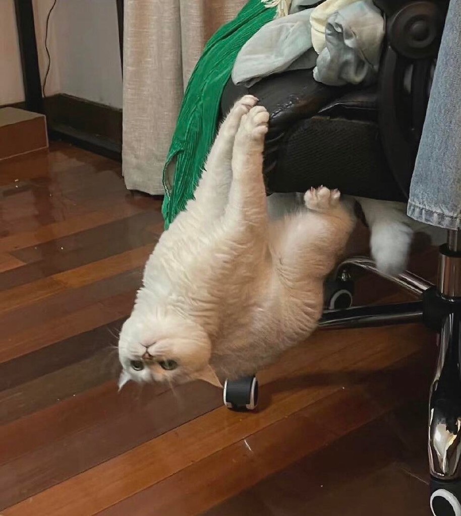 )