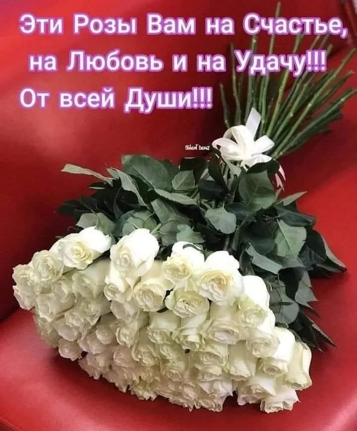  ,    . - 15  2021  19:57 - 9