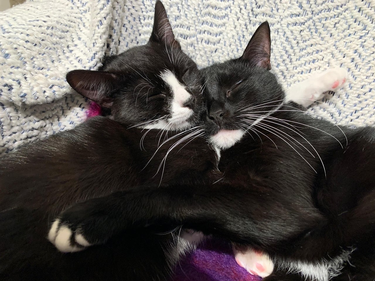  - , Marli & Percy - 3