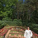 ���� �������, �����, 72 ���� - ��������� 8 ���� 2021 � ������ ���� ����������