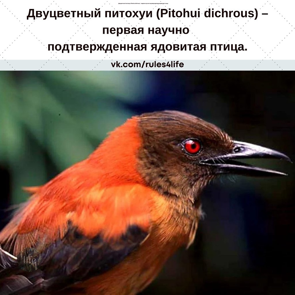      ,       -. ...