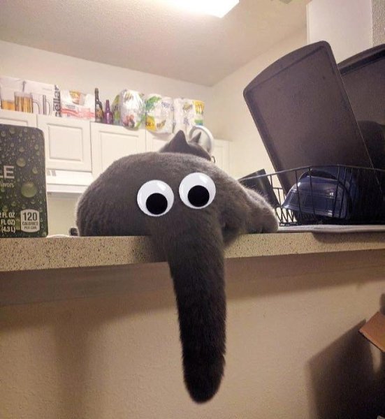       !