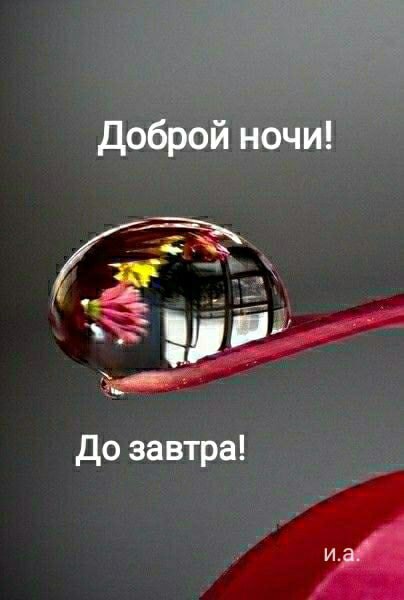   ,    . - 24  2021  22:19 - 10