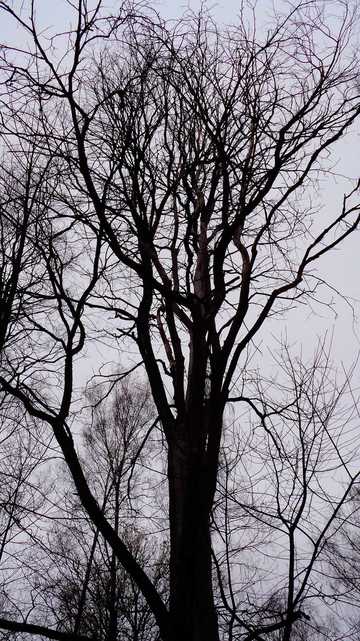   - 24  2021  04:20 - 2