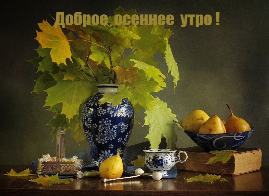  ,    . - 12  2021  01:03 - 2