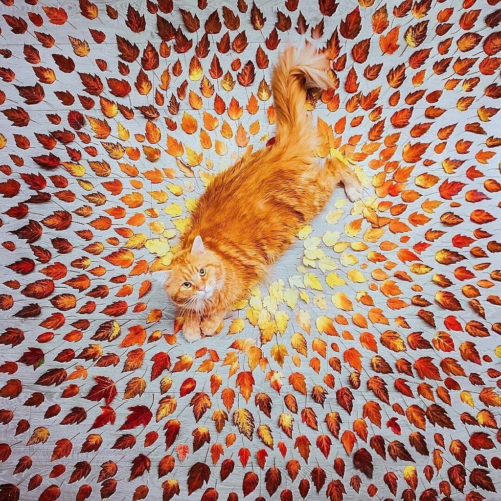 , , ...   !