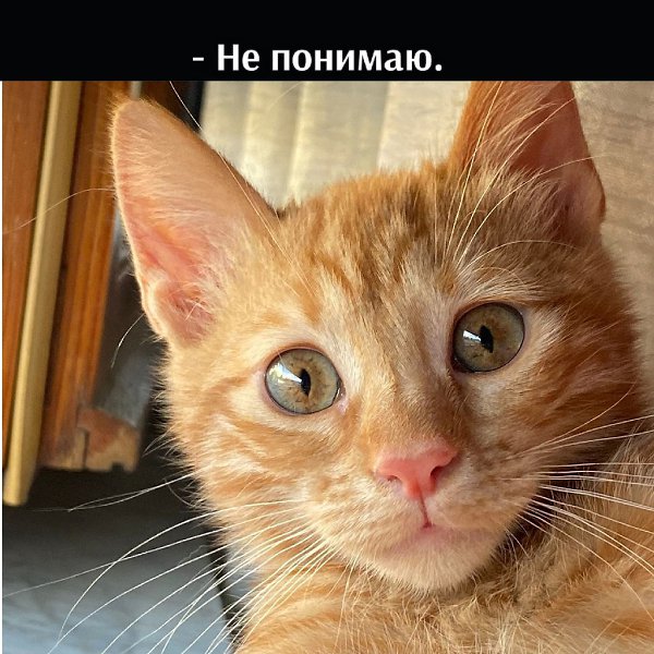       - 22  2021  13:32 - 4